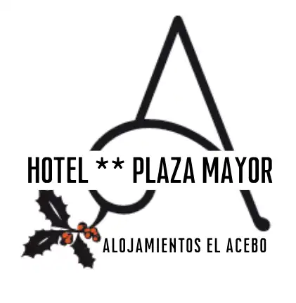 logoHotelPlaza copy